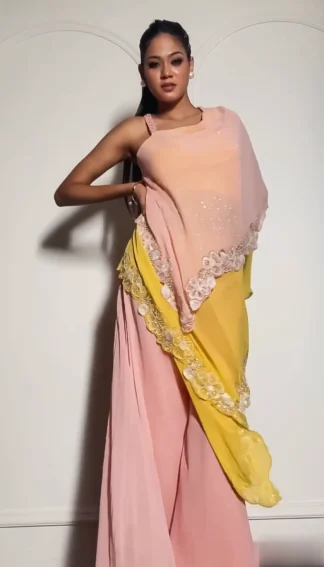 Double Layer Indowestern Dress