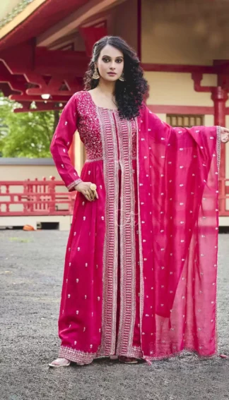 Ethnic wear dress