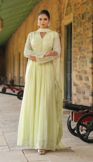 Pista Green Gown Set with Sequin Detailing